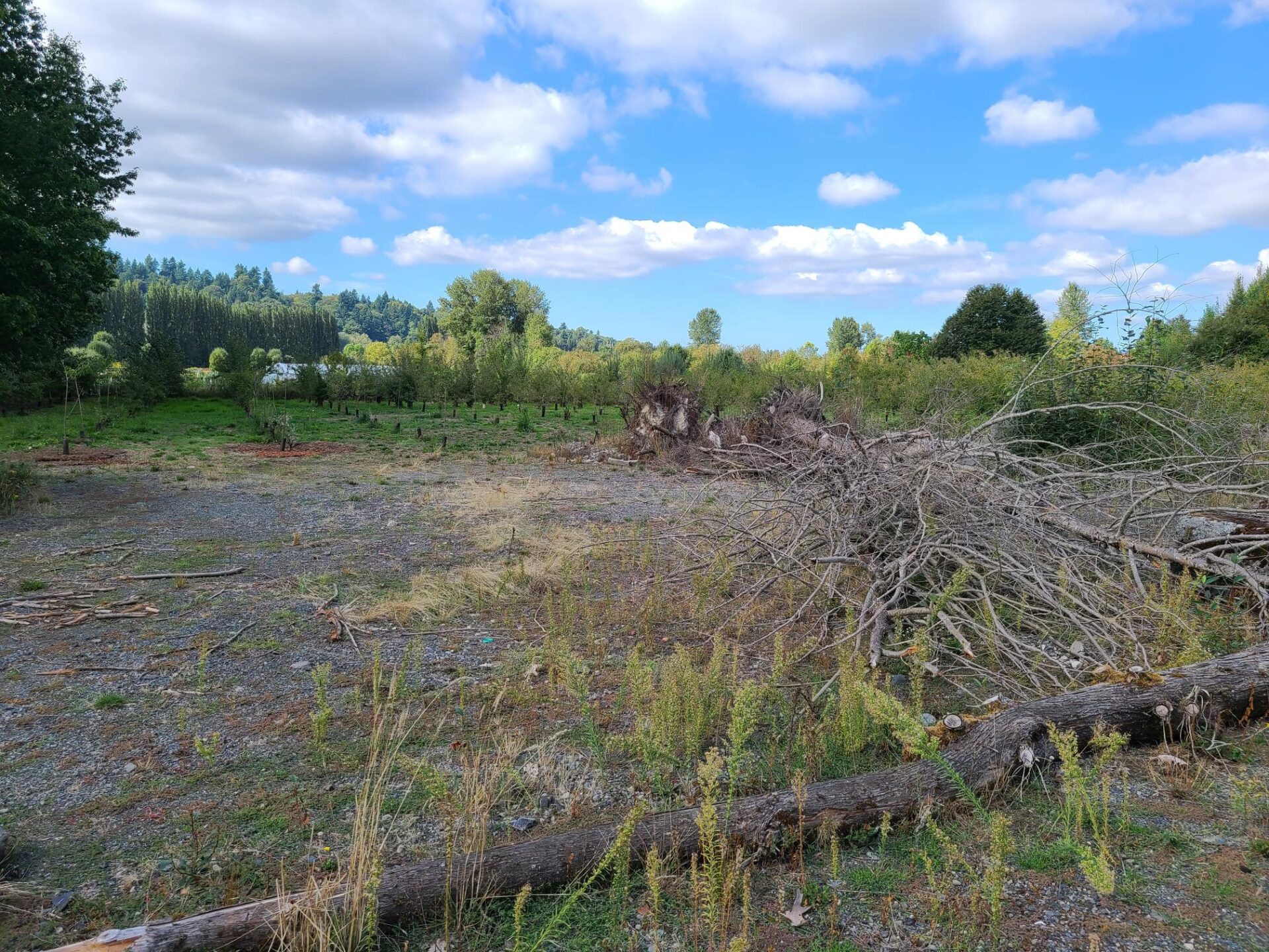 Woodinville Commercial Land (5 Acres) Westlake Associates